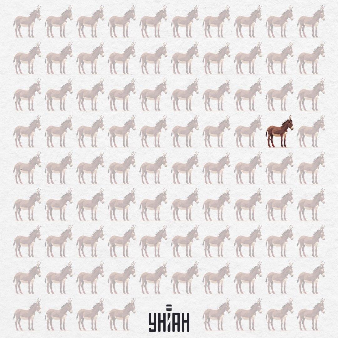 Rešitev uganke z oslom