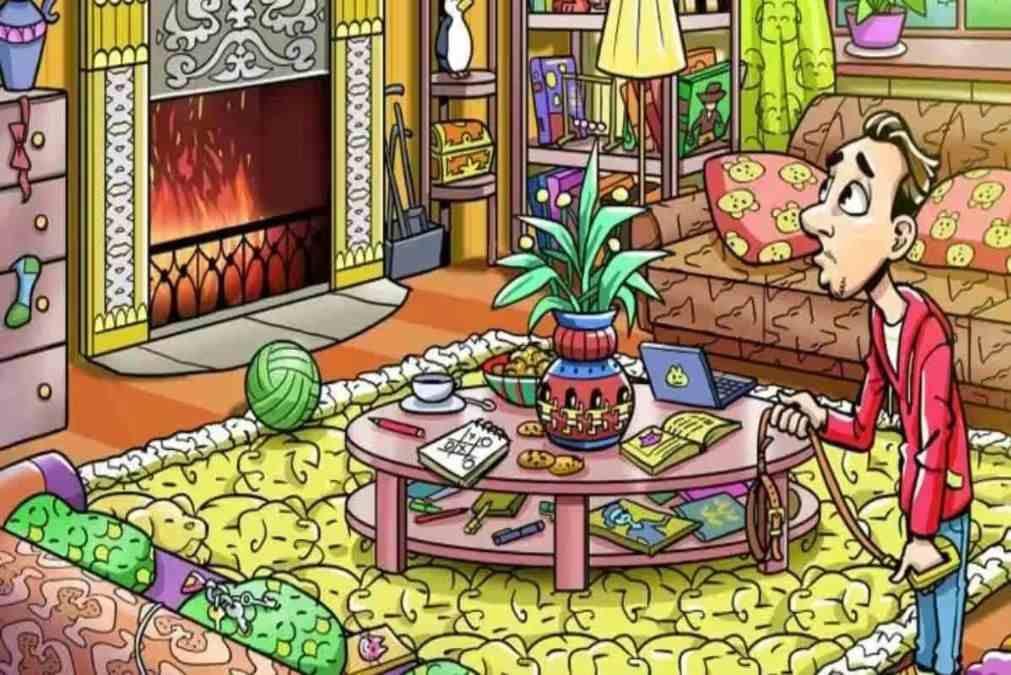 Puzzle / jagranjosh.com