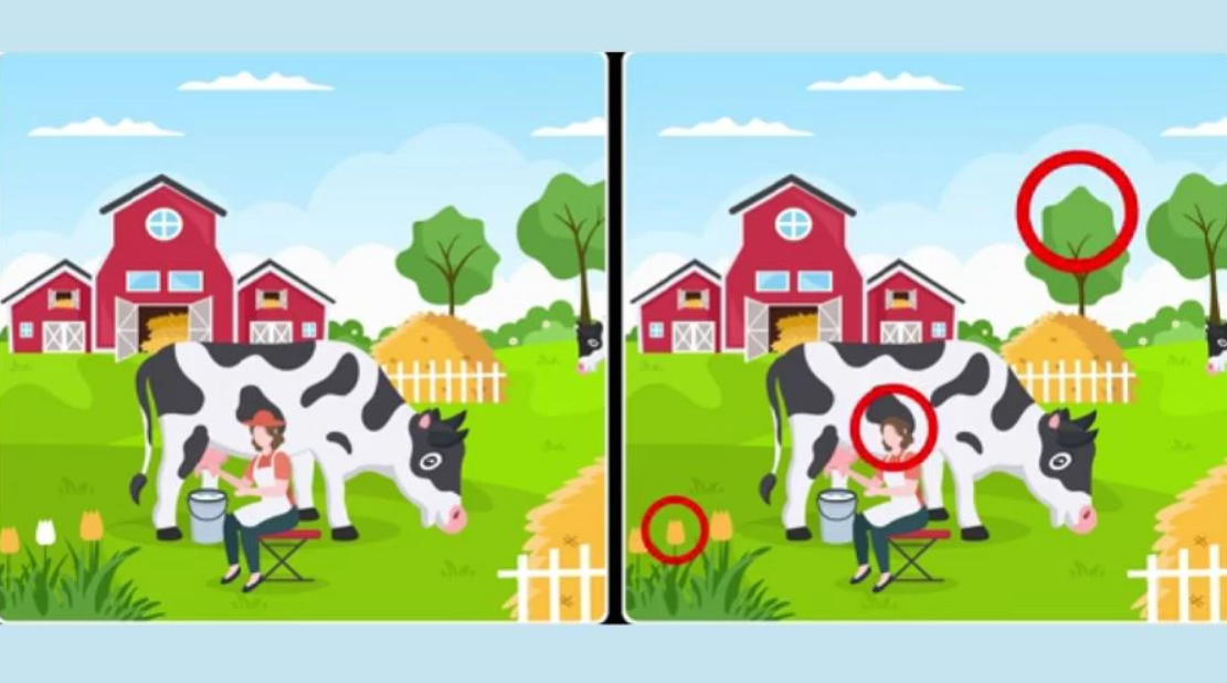 Fotografija Fresherslive z označenimi razlikami