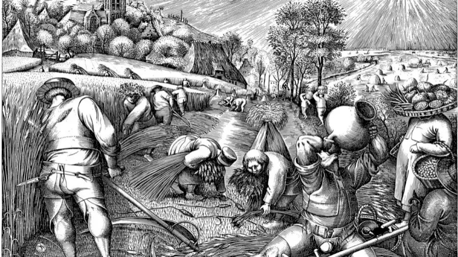 Optična iluzija Optična iluzija