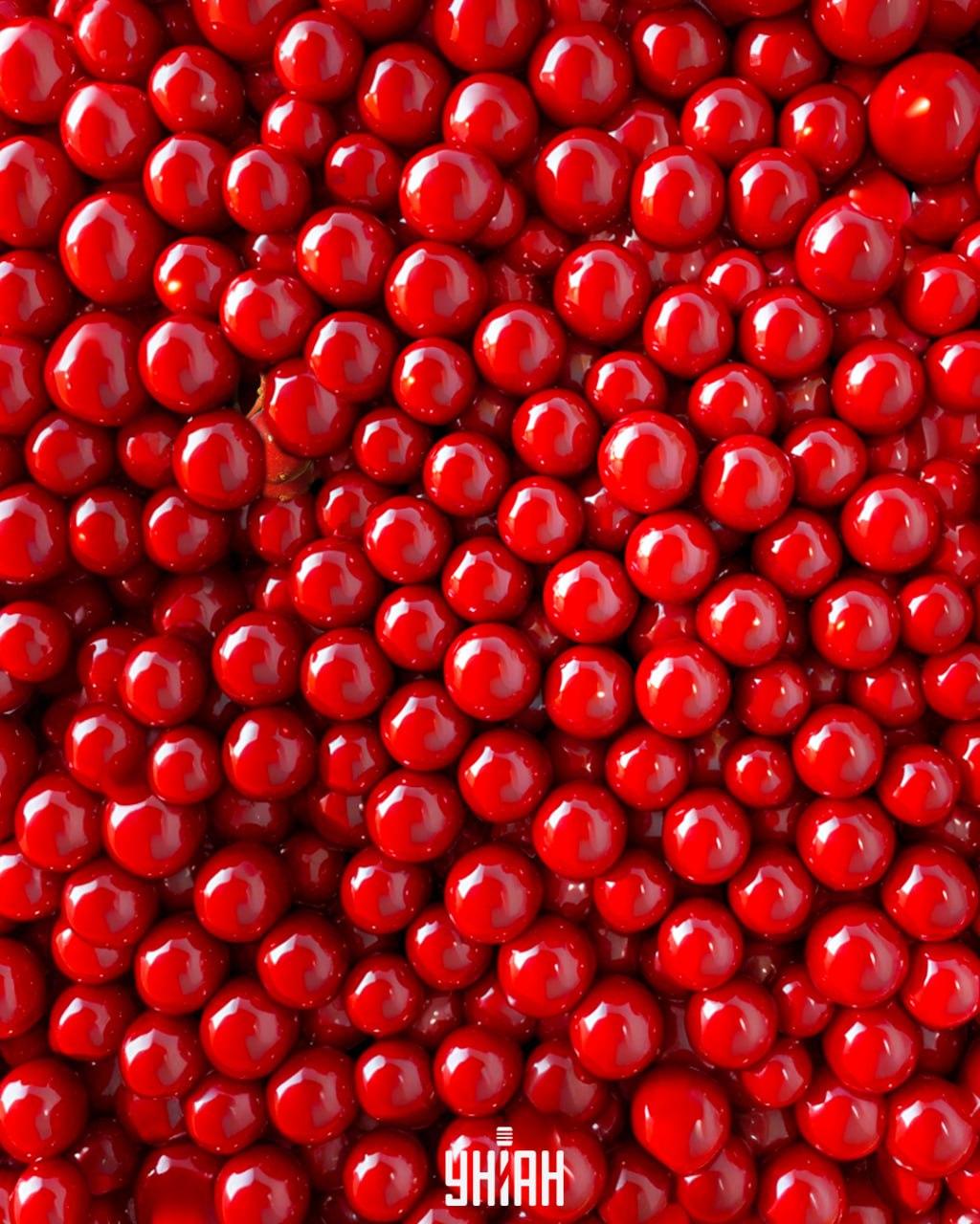 Med rdečimi kroglicami so jagode Kalina, ki jih morate hitro najti / kolaž Moje