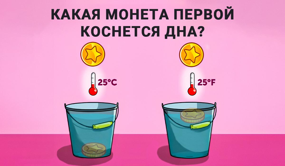 Odgovor na IQ-test / kolaž Moje