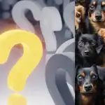 Iskanje mačke med desetinami psov v manj kot 10 sekundah: