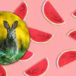 Kje je 5 razlik med slikama zajca in lubenice: poišči