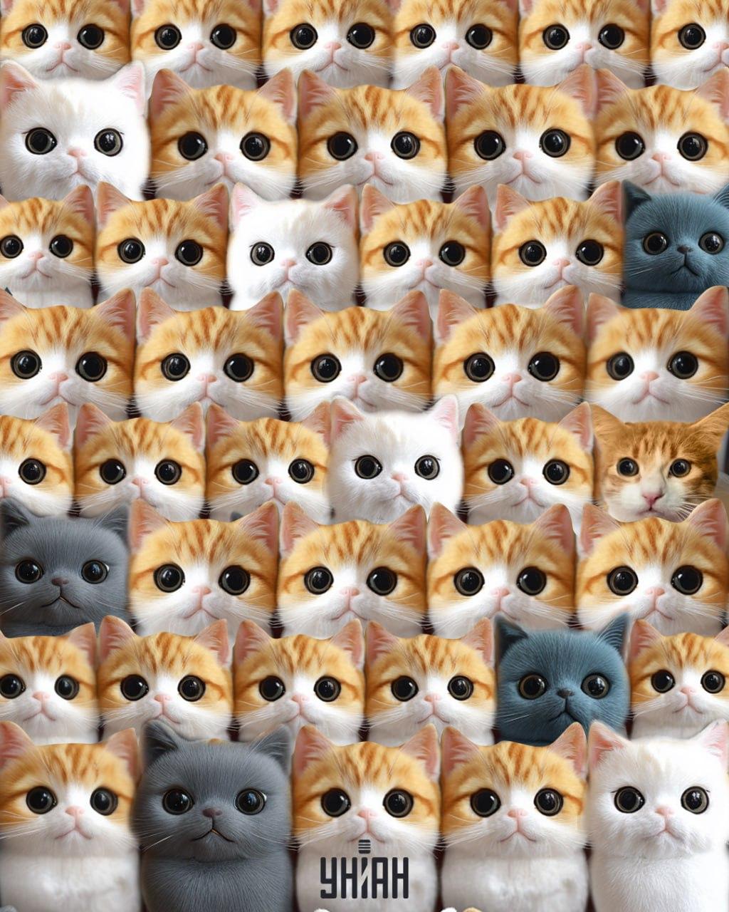 Kolaž Moje Kolaž Moje