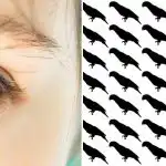 Le 5 % ljudi bo v 10 sekundah našlo papigo