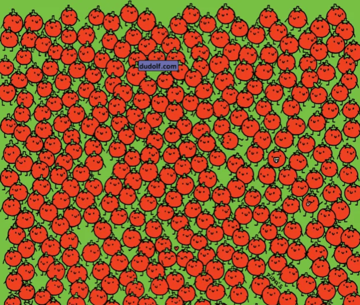 Poskusite čim hitreje najti jabolka / foto thedudolf.blogspot.com