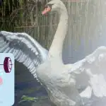 Samo nadarjeni bodo v 30 sekundah našli 3 razlike: miselna sestavljanka Samo nadarjeni bodo v 30 sekundah našli 3 razlike: miselna