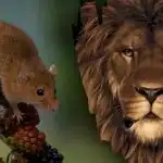 Uganka za ljudi z ostrim vidom: v 8 sekundah morate