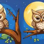 Uganka za tiste z vidom jastreba: poiščite 3 razlike na