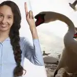 V 9 sekundah med racami in labodi poiščite premeteno srako: sestavljanka s "pastmi" V 9 sekundah med racami in labodi poiščite premeteno srako: