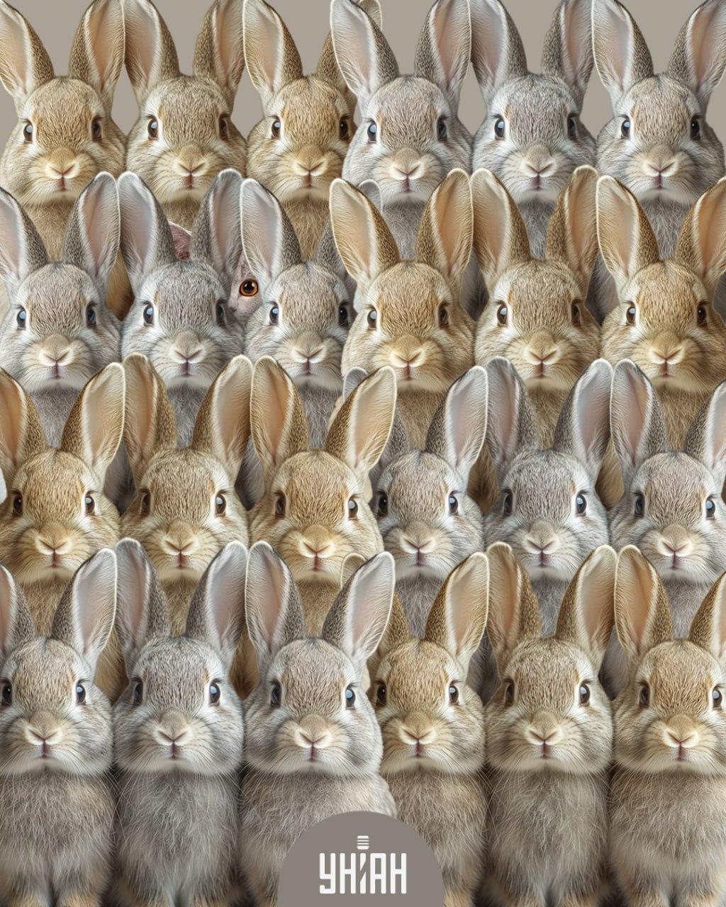 Kolaž Moje Kolaž Moje