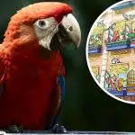 Zabavna iluzija za genije: le redki lahko najdejo papigo v